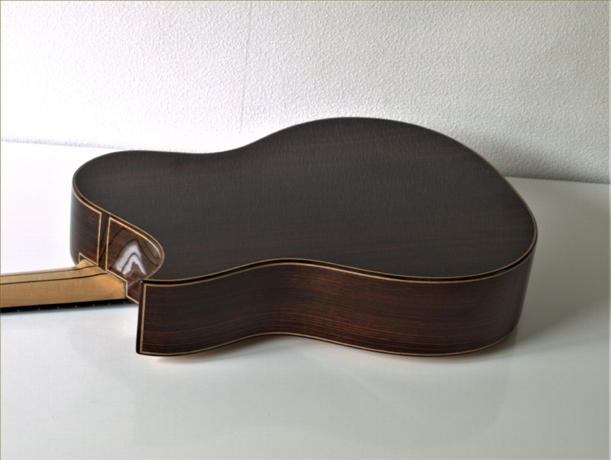 van bergeijk 12 string 2